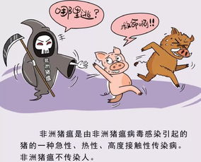 海南啟動非洲豬瘟防控應急響應機制，保障畜禽市場平穩，同步強化水產養殖安全管理